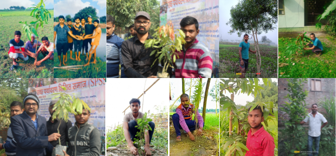 should we plant trees