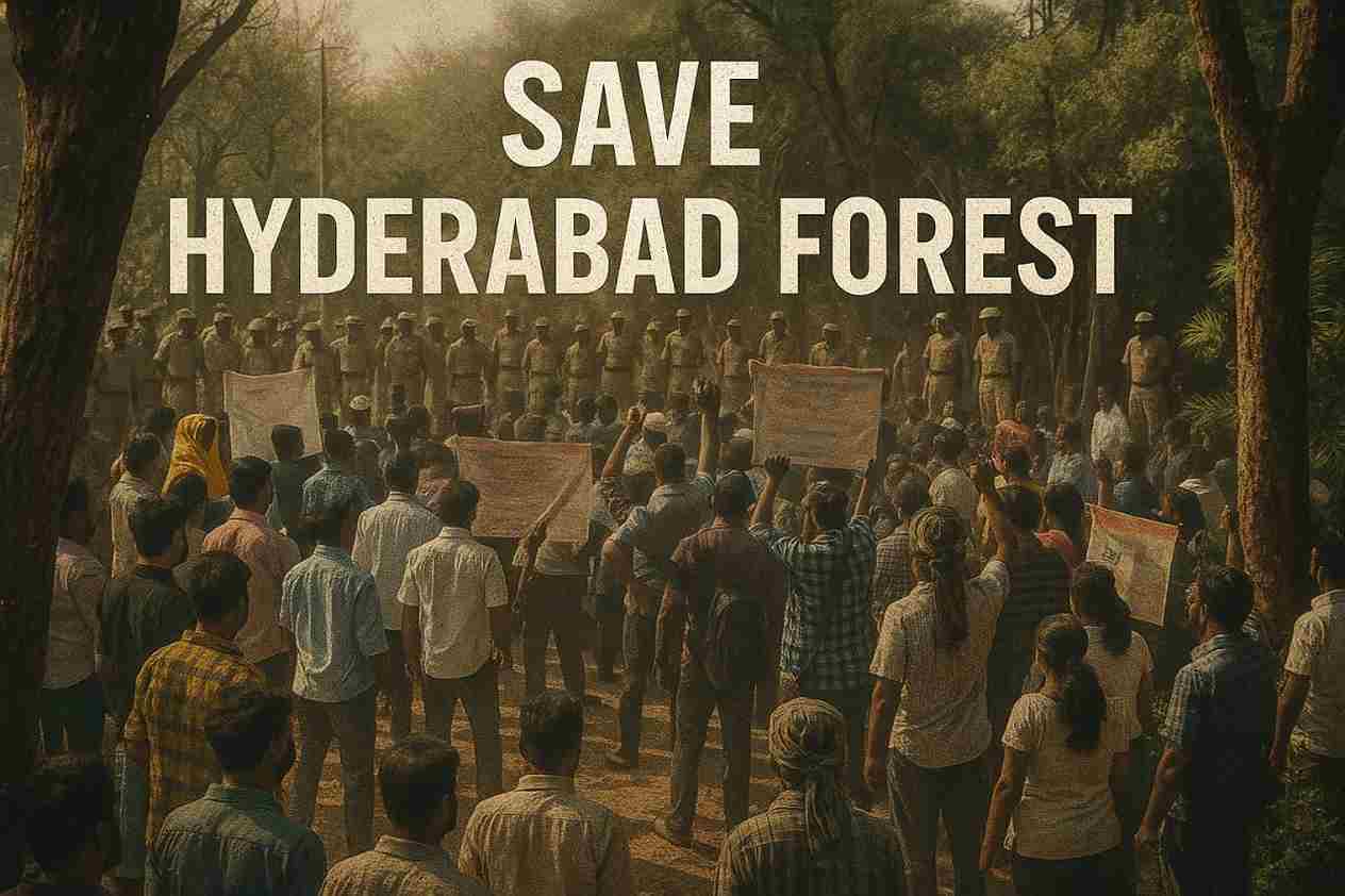 hyderabad forest cutting stopped